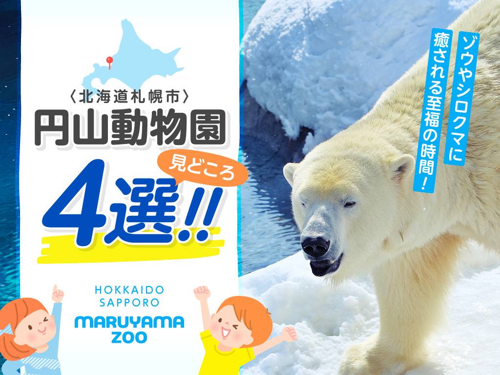 札幌市円山動物園の見どころ4選！ゾウやシロクマに癒される至福の時間！